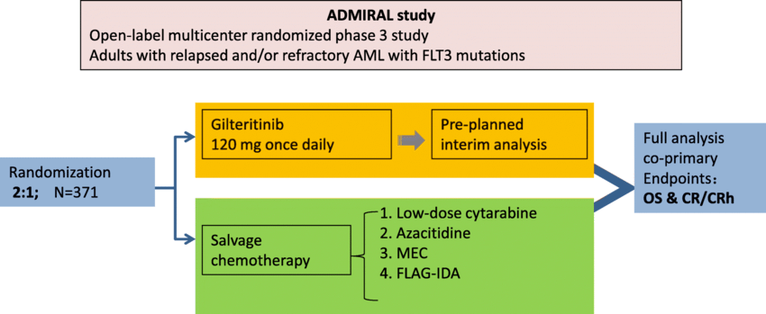 The ADMIRAL study scheme