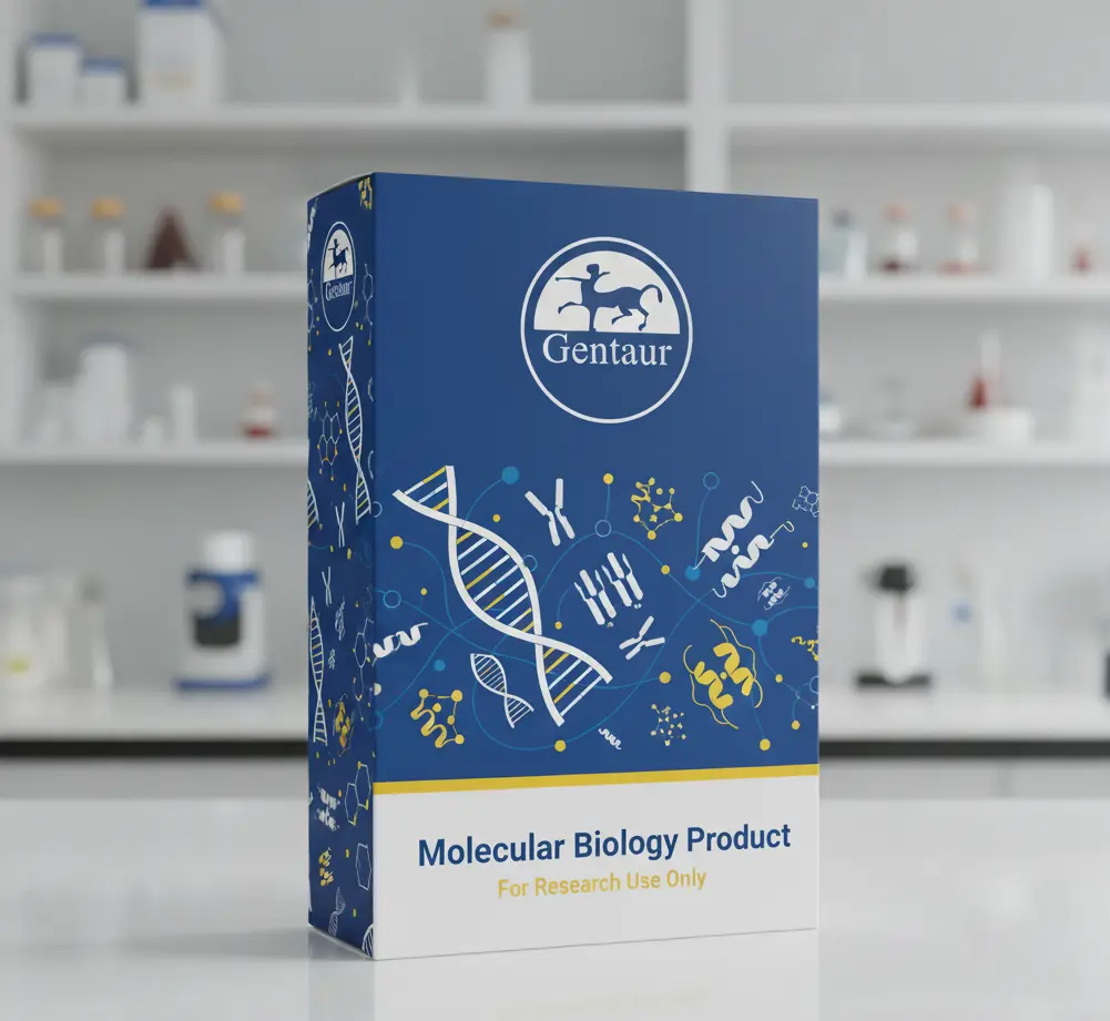 Amplirun Aspergillus Fumigatus DNA Control - 10,000-20,000 c/µl