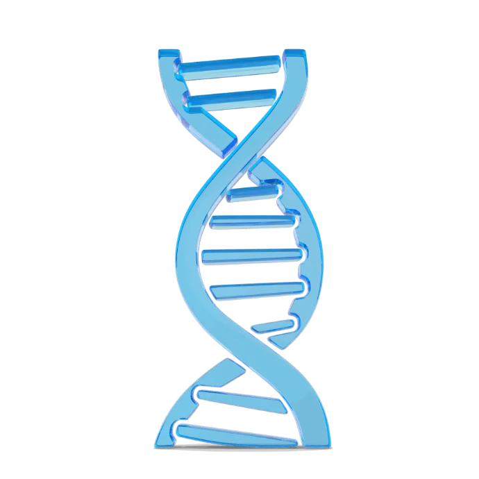 Taq Pro Universal SYBR qPCR Master Mix - 500 Reactions (20 µL/Reaction)