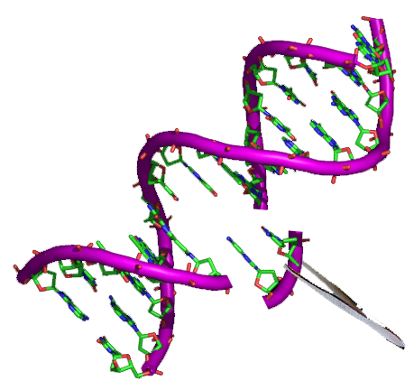 [0015-AH11-P-10] AH1 peptide (gp70 H2-Ld-restricted epitope) (SPSYVYHQF, >95%), 10 mG.