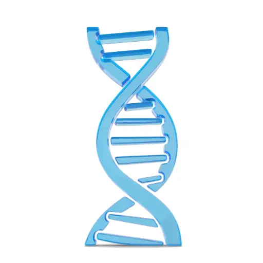 [0813-Q712-02] Taq Pro Universal SYBR qPCR Master Mix - 500 Reactions (20 µL/Reaction)